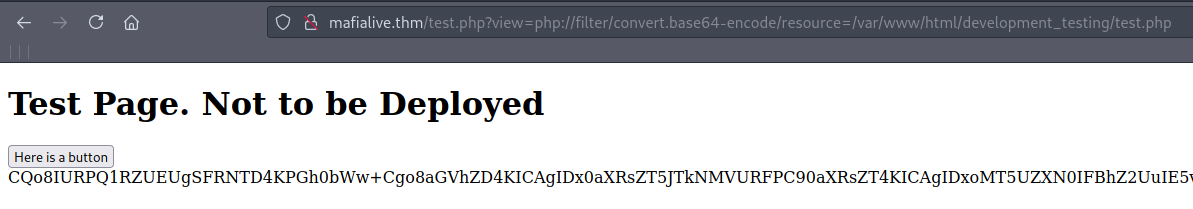 Php base64 filter